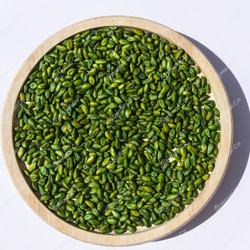 Green Peeled Pistachio Kernel